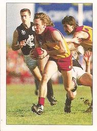 1990 Select AFL Stickers #19 David Bain Front